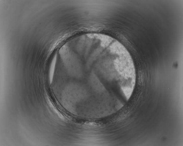 X0000114640634200912011049