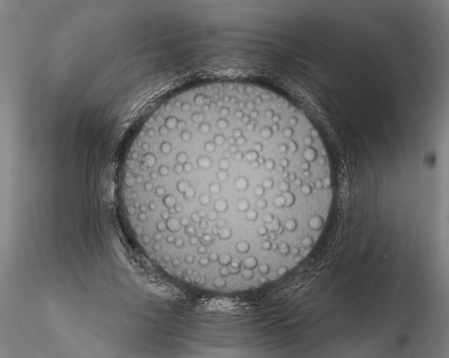 X0000114640635200912011049