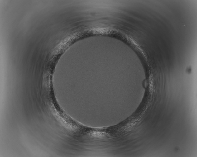 X0000114640637200912011049