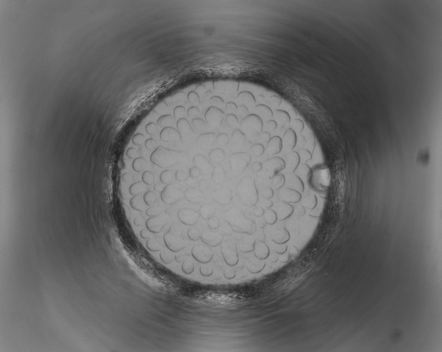 X0000114640638200912011049