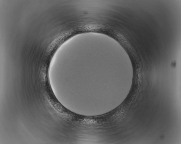 X0000114640640200912011049