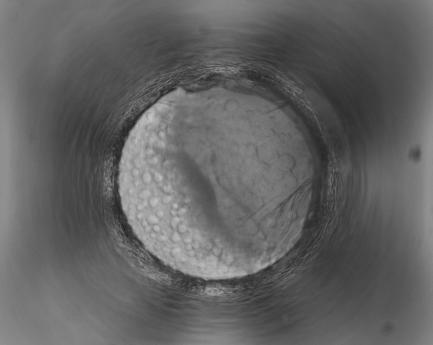 X0000114640641200912011049