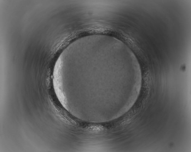 X0000114640642200912011049