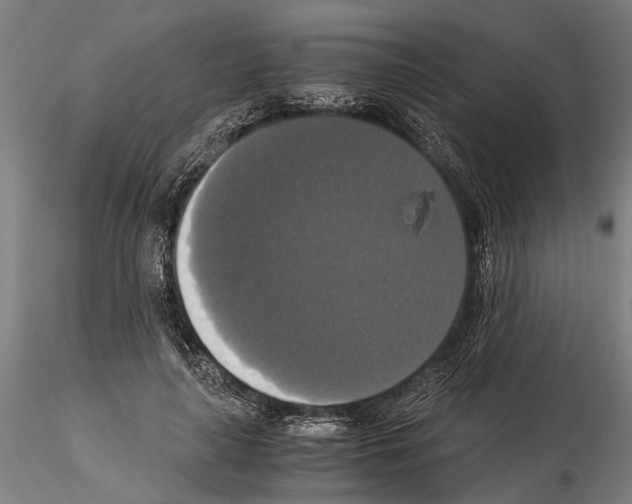 X0000114640643200912011049