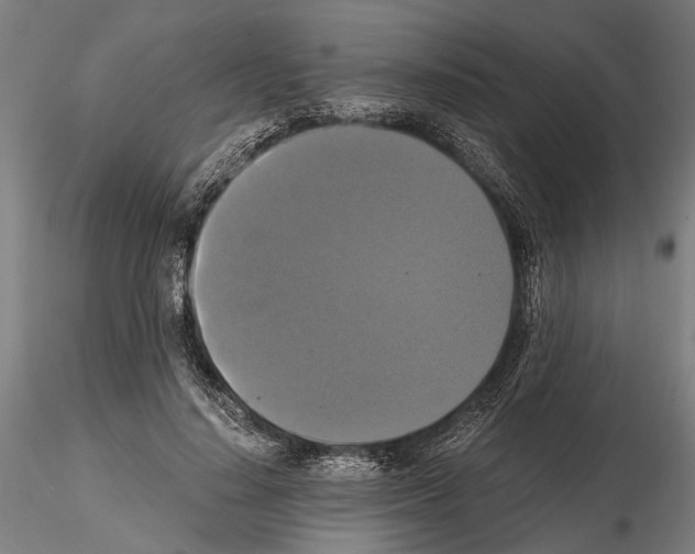 X0000114640644200912011049