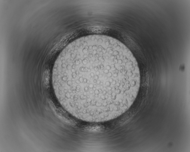 X0000114640646200912011049