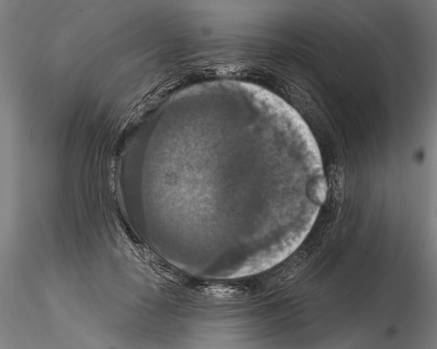 X0000114640650200912011049