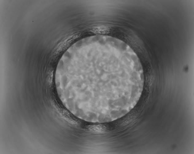 X0000114640652200912011049