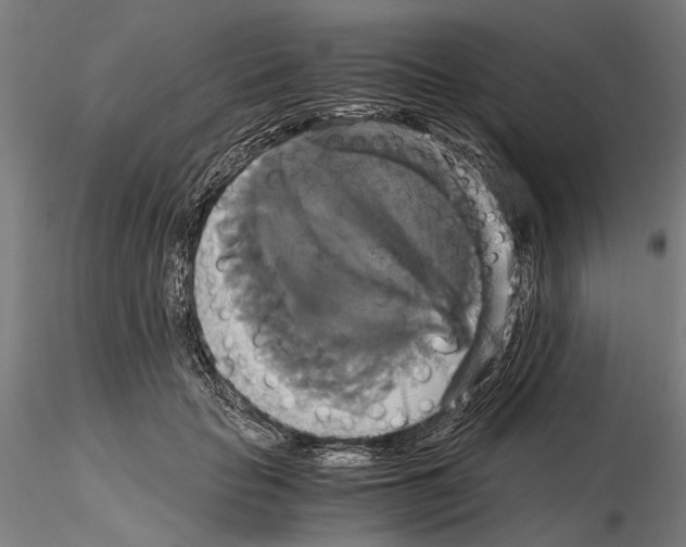 X0000114640653200912011050