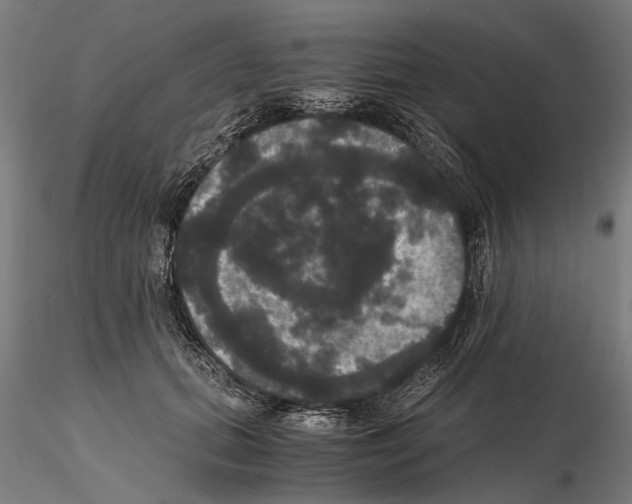 X0000114640655200912011050