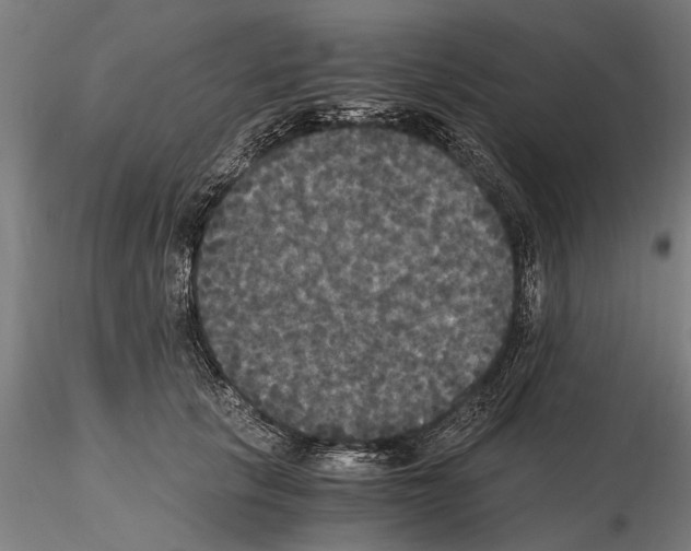 X0000114640657200912011050