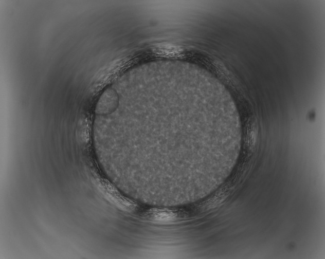 X0000114640658200912011050