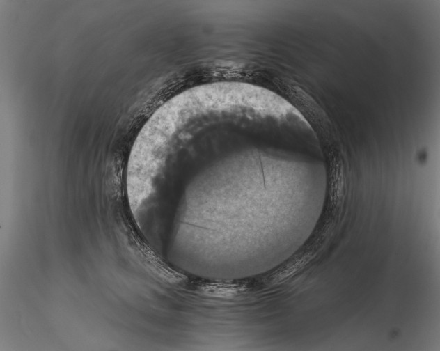 X0000114640661200912011050