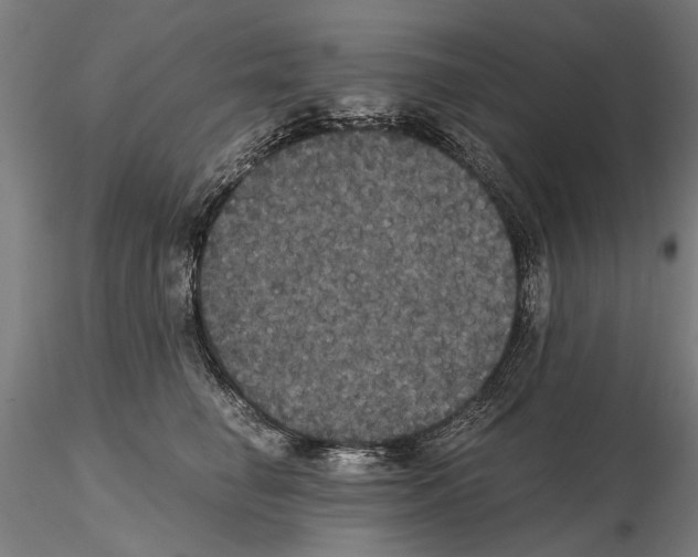 X0000114640662200912011050