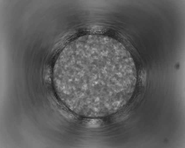 X0000114640663200912011050