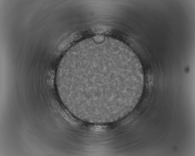 X0000114640664200912011050