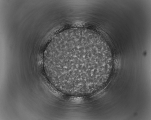 X0000114640665200912011050