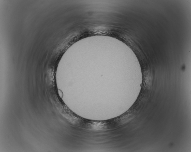 X0000114640667200912011050