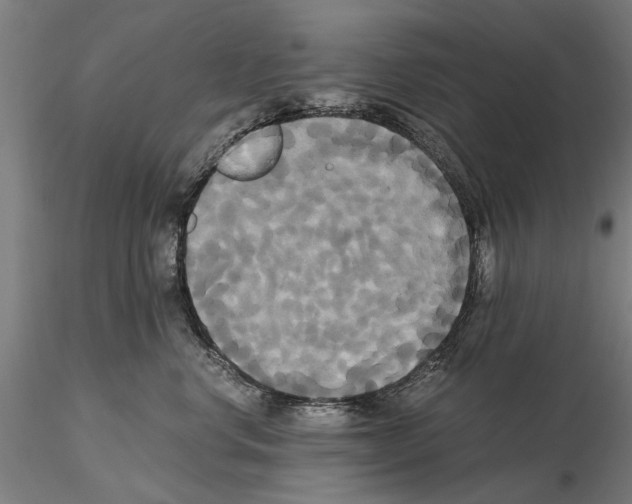 X0000114640668200912011050