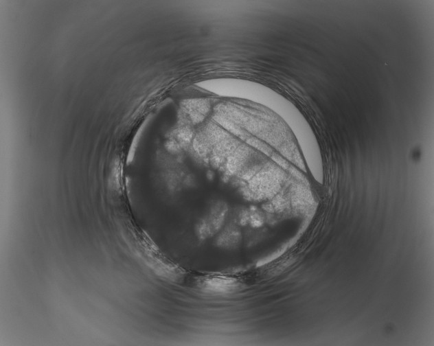 X0000114640669200912011050