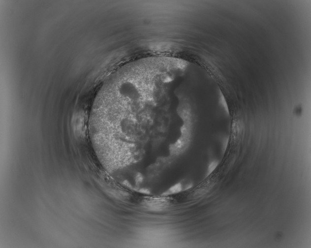 X0000114640671200912011050