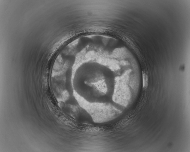 X0000114640675200912011049