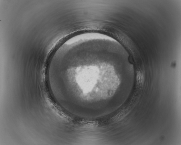 X0000114640676200912011049