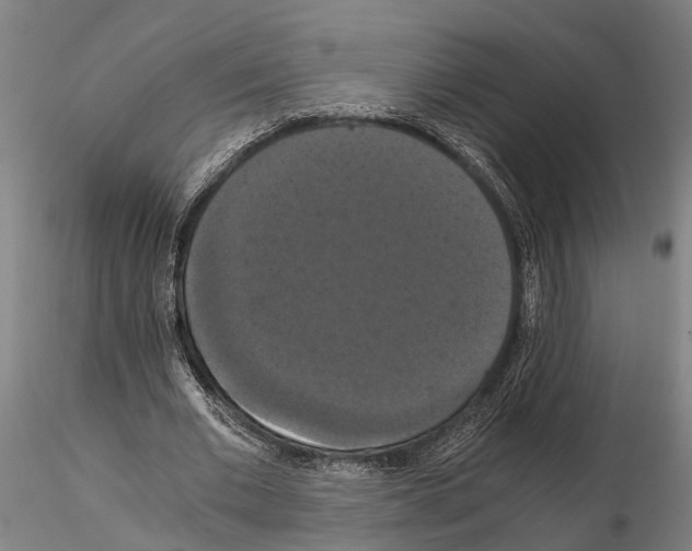 X0000114640677200912011049