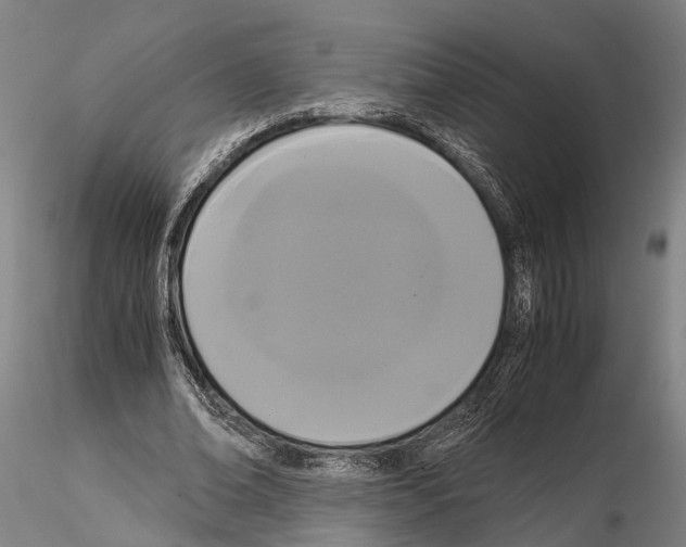 X0000114640678200912011049