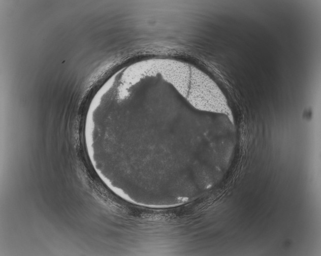 X0000114640679200912011049