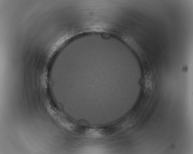 X0000114640680200912011049