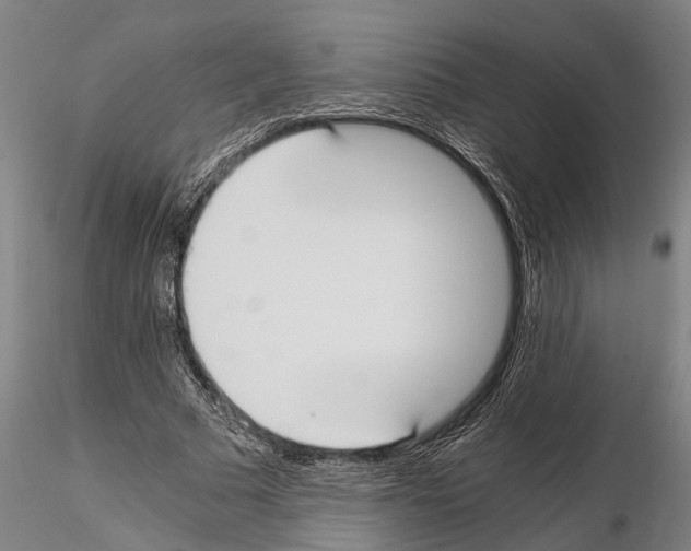 X0000114640681200912011049