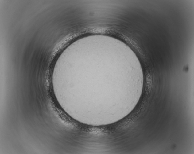 X0000114640682200912011049