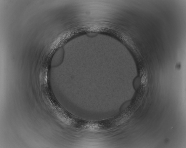 X0000114640685200912011049