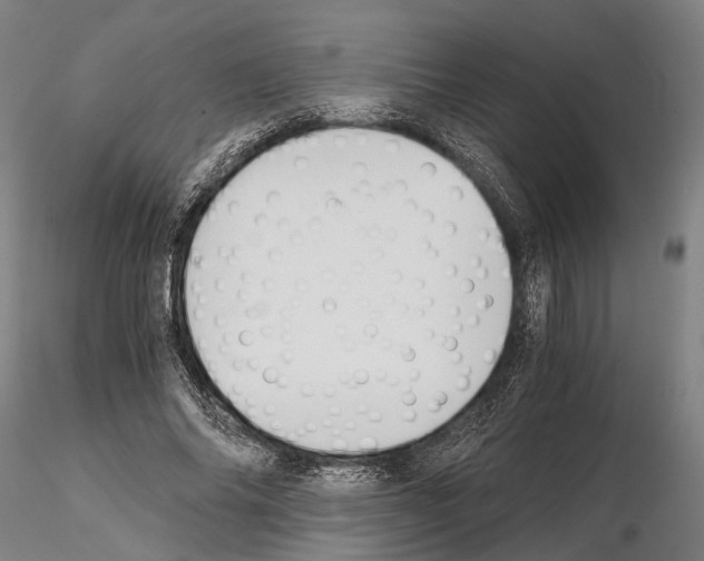 X0000114640686200912011049