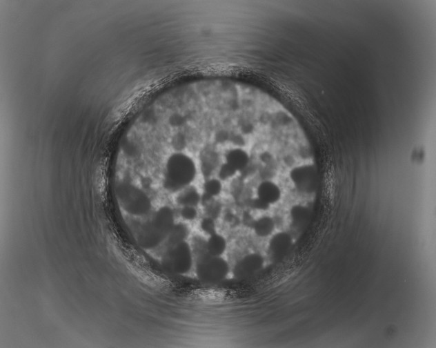 X0000114640687200912011049