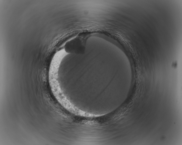 X0000114640689200912011049