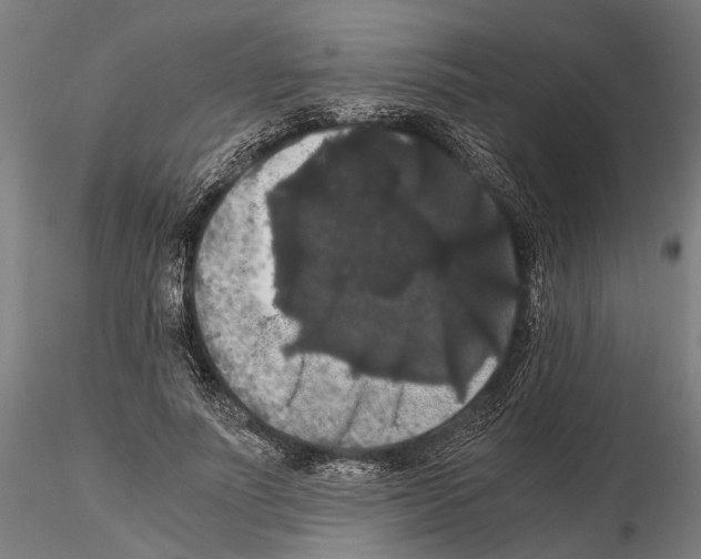 X0000114640691200912011049