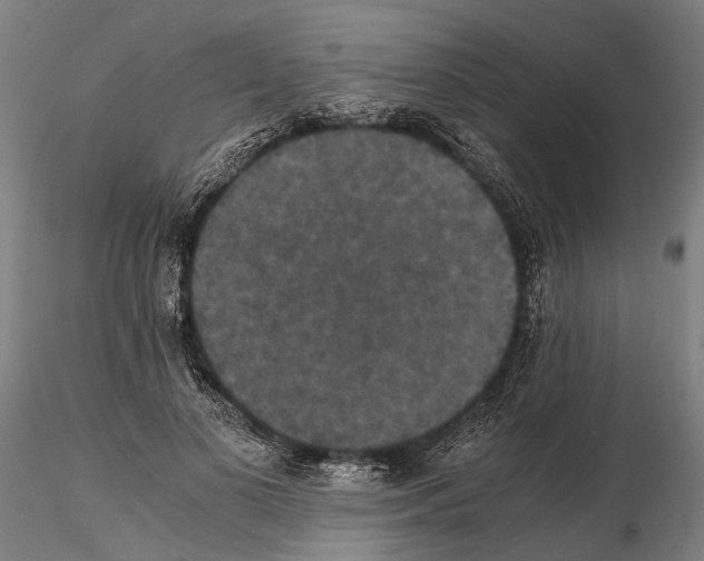 X0000114640693200912011049