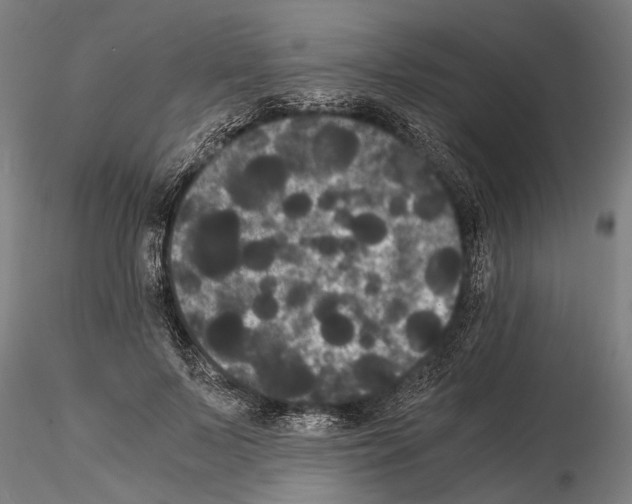 X0000114640695200912011049