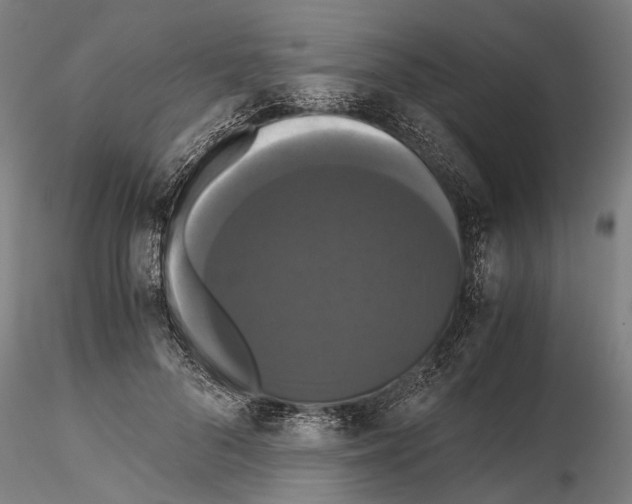 X0000114640696200912011049