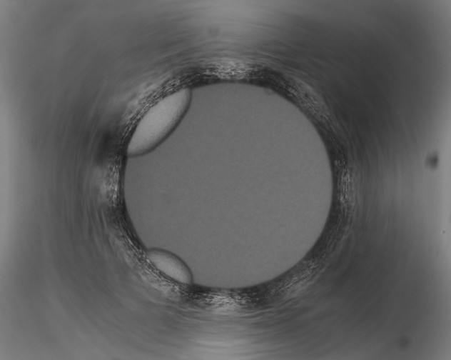 X0000114640697200912011049