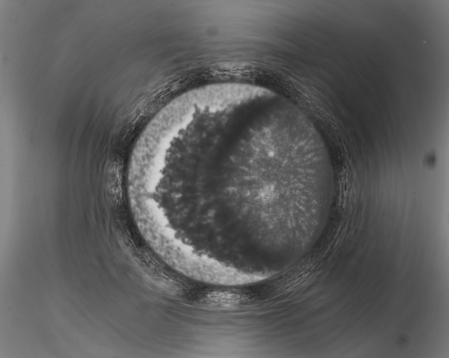 X0000114640699200912011049