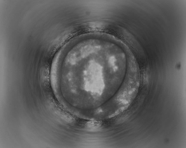 X0000114640700200912011049