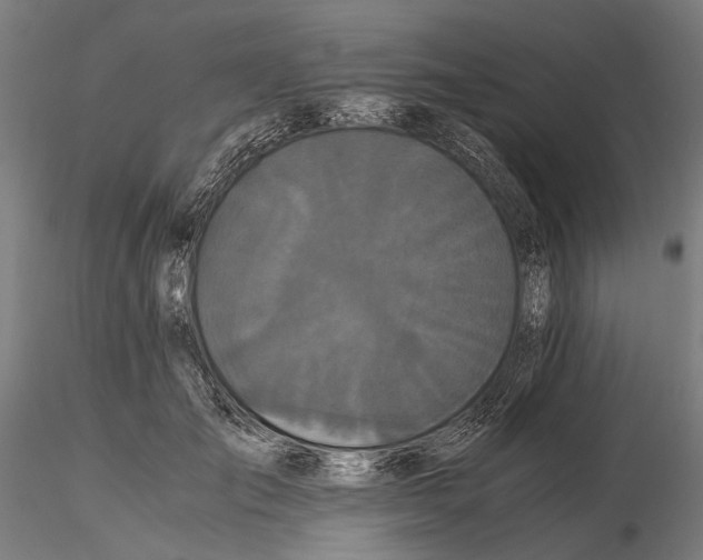 X0000114640701200912011049