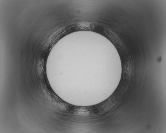 X0000114640702200912011049