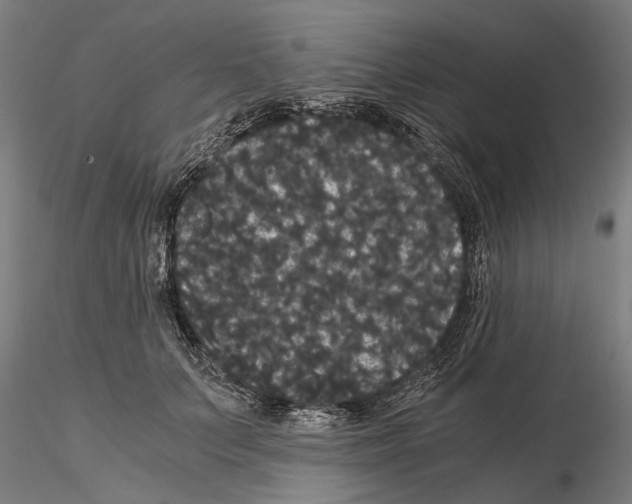 X0000114640703200912011049