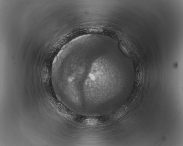 X0000114640704200912011049