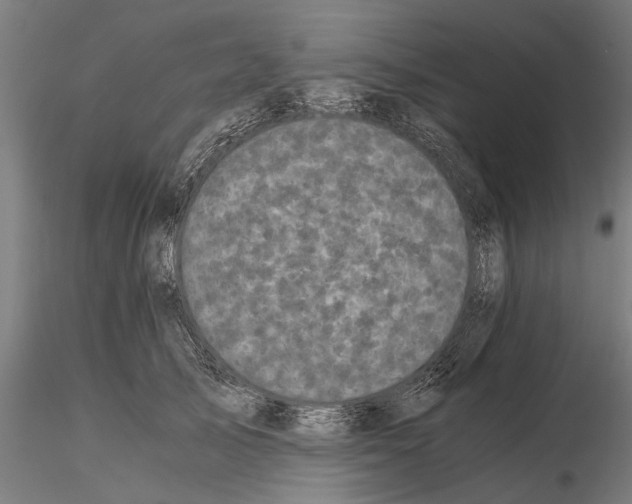 X0000114640705200912011048