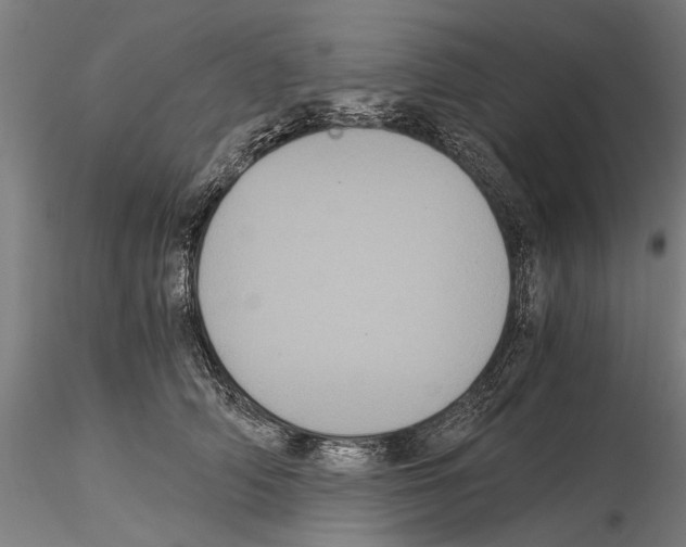 X0000114640706200912011048